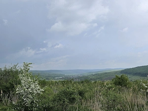 Vand teren Intravilan Padureni, Com. Chinteni , 2900 mp - imagine 3