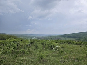 Vand teren Intravilan Padureni, Com. Chinteni , 2900 mp - imagine 8