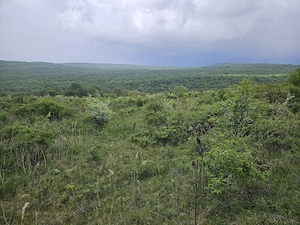 Vand teren Intravilan Padureni, Com. Chinteni , 2900 mp - imagine 9
