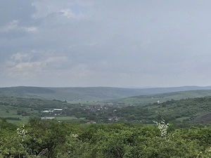 Vand teren Intravilan Padureni, Com. Chinteni , 2900 mp - imagine 4