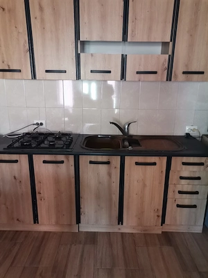 Apartament de inchiriat in Faget Timis - imagine 4