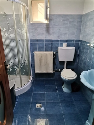 Apartament de inchiriat in Faget Timis