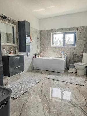 CASA MODERNĂ 6000mp teren COTMEANA - imagine 9