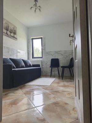 CASA MODERNĂ 6000mp teren COTMEANA - imagine 10
