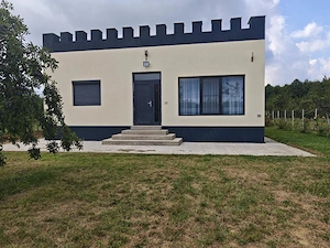 CASA MODERNĂ 6000mp teren COTMEANA - imagine 2