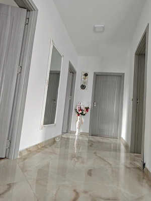 CASA MODERNĂ 6000mp teren COTMEANA - imagine 8