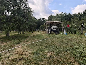 CASA MODERNĂ 6000mp teren COTMEANA - imagine 14