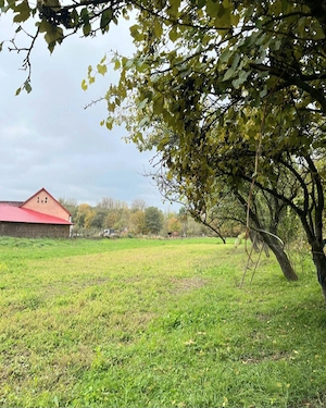 Casă de cărămidă 120 mp cu teren intravilan 32 arii de vanzare construcție 1960 cu actele la zi! - imagine 7