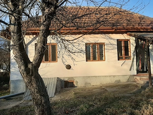 Vand casa cu livada