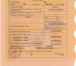 Pregătire informatică BAC și admitere   student FII, 9.95 la BAC