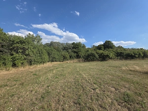 Proprietar | Teren intravilan 3.211 mp Vechea Chinteni | Asfalt, Utilități, Internet Fibră, Panoramă - imagine 7