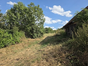 Proprietar | Teren intravilan 3.211 mp Vechea Chinteni | Asfalt, Utilități, Internet Fibră, Panoramă - imagine 6