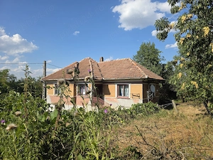 Proprietar | Teren intravilan 3.211 mp Vechea Chinteni | Asfalt, Utilități, Internet Fibră, Panoramă - imagine 8