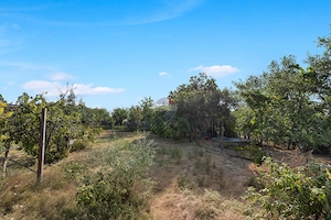 Casă în Pecica, gata de mutare – renovată și complet utilată - imagine 20