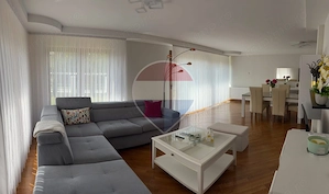 Casă cu 5 camere de vânzare Ocna Sugatag - imagine 13