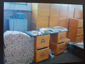 Vând afacere apicolă - vatră stupină+mag, familii albine, stupi, roinițe, rame, faguri, centrifugă, 