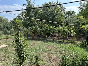 Casă cu teren intravilan 923 mp și anexe   Bujoru, Teleorman | 65.000 lei negociabil - imagine 9