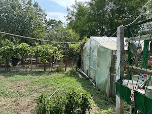 Casă cu teren intravilan 923 mp și anexe   Bujoru, Teleorman | 65.000 lei negociabil - imagine 8