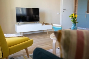 Ap. nou 2 camere, mobilat designer, complex Central - imagine 4
