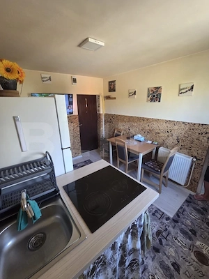 Apartament 1 cameră | 24 mp | Mănăștur | Etaj 1/4 | 2 CF-uri | PLATĂ DOAR CASH - imagine 3