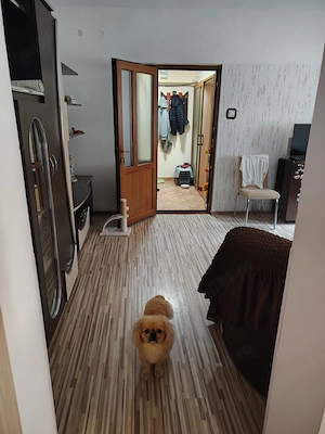 Vând apartament cu doua camere  - imagine 6