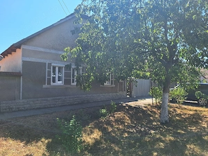 Vand casă in com Macea, Arad 