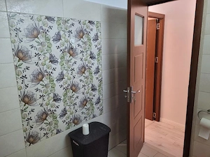 Apartament 2 camere ( inchiriere ) - Dristor - imagine 13