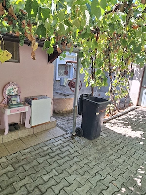 Vand casă in com Macea, Arad  - imagine 4