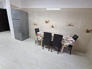 Apartament 2 camere ( inchiriere ) - Dristor - imagine 3