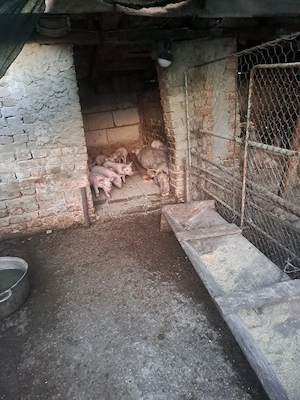 porcie.ladra