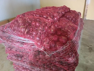 Ceapa galbena si ceapa rosie