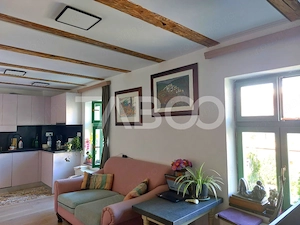 Casa de vanzare 3 camere 2 bucatarii 3 bai teren 340 mp Cisnadie - imagine 4