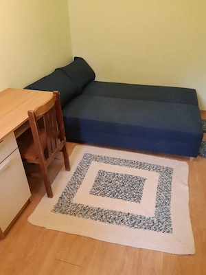Vind apartament 2 camere etaj 2 4, în Trivale zona Complex 1 - imagine 5