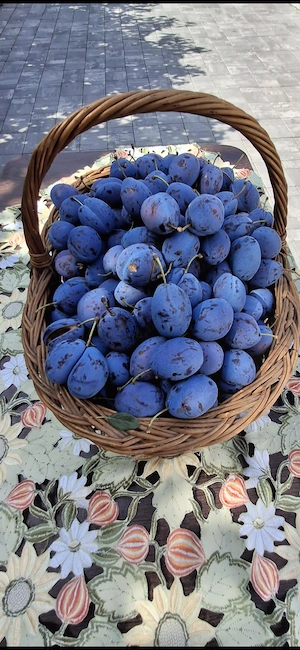 Prune Stanley pentru piață. 