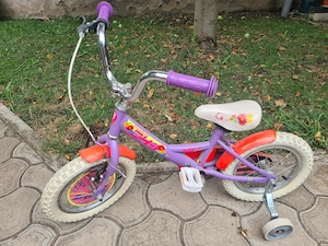 Vand bicicleta DHS 14"