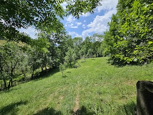 Proprietar, vand teren intravilan Malul Negrasului - Traisteni, Valea Doftanei - imagine 2