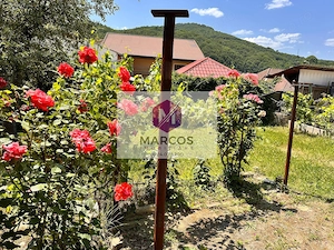 Vand casa 3 camere Muncitoresc - imagine 19