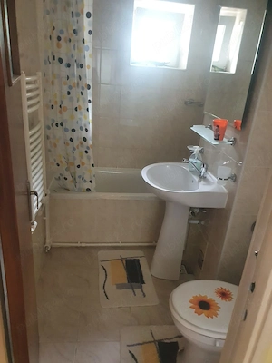 Apartament 1 dormitor 1 living  1 bucatarie 1 baie 1 balcon 1 camara 1 debara - imagine 9