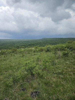 Vand teren Intravilan Padureni, Com. Chinteni , 2900 mp - imagine 5