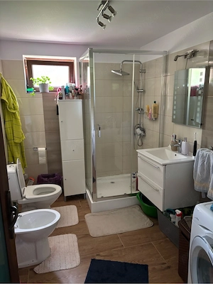 casa , curte , livada cu pomi fructiferi. zona langa padure , aproape de intratea pe autostrada. - imagine 8