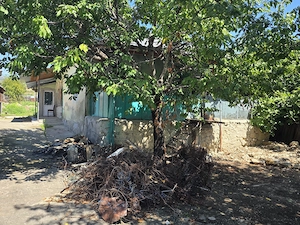 Proprietate cu potential - 2.200 mp   Strada Principală, Greceanca - Apă+Curent - imagine 3