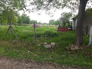 2 terenuri intravilane Vrancea Straoane de sus 3721mp