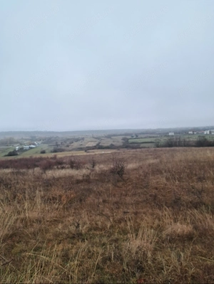 Teren extravilan-comuna Crasna-Gorj  - imagine 6