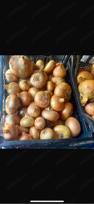 Fructe și Legume Proaspete din Livadă Proprie   Prune, Mere, Ceapă și Usturoi