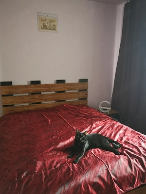 Vanzare apartamen 2 camere - imagine 4