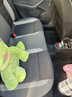 Skoda Rapid 2019 | 1.0 Benzină 95 CP | 148.000 km REALI | 1 Proprietar - imagine 5
