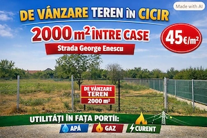 Teren de vînzare în Cicir  - imagine 2