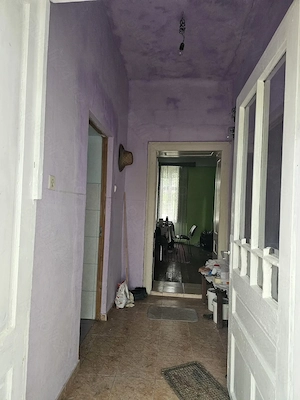 Casa de vanzare in Beba-Veche  - imagine 4