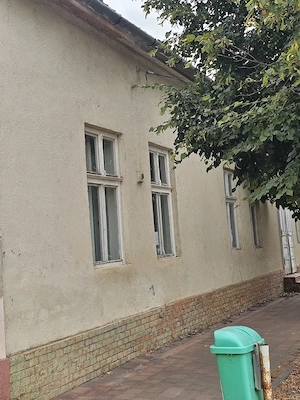 Casa de vanzare in Beba-Veche  - imagine 2
