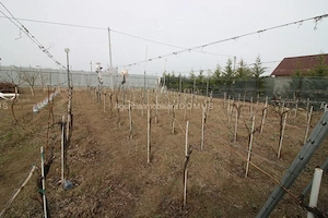 Vila D+P+M Sat Costi ( Floricultura) cu bransamente la utilitati - imagine 10